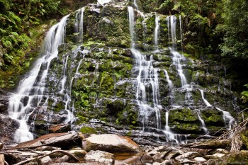 Nelson Falls, Franklin Gordon National Park