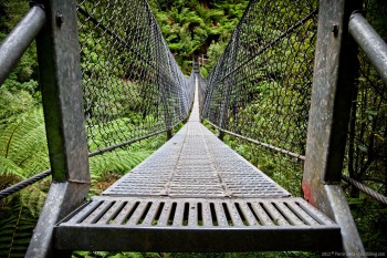 Pont suspendu, Montezuma Falls